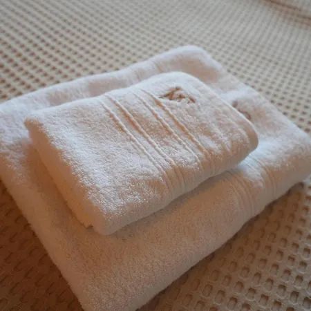 Πανσιόν Amalia's House 3*