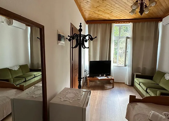 Amalia's House