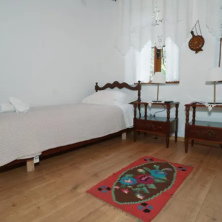 Amalia's House