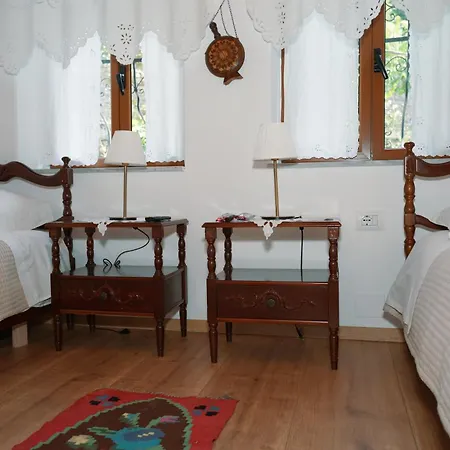 Pensionat Amalia's House Gjirokastër