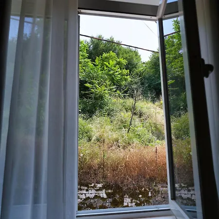 Penzion Amalia's House