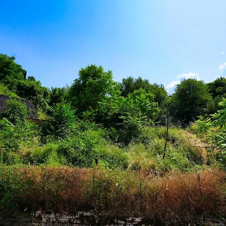 Penzion Amalia's House