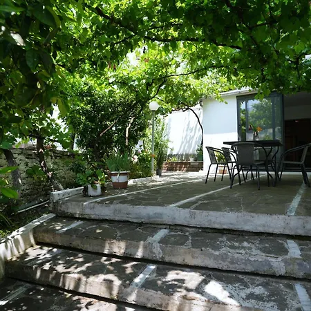 Amalia's House *