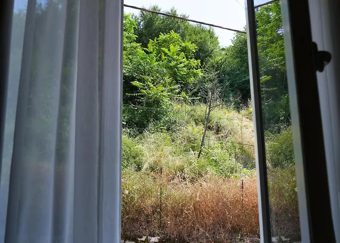 Maison d'hôtes Amalia's House